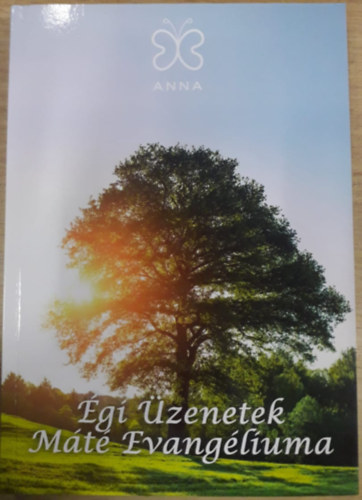 Gulyásné Szalai Gabriella: Égi Üzenetek - Máté Evangéliuma