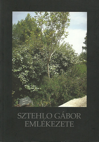 Füzéki Bálint (szerk.): Sztehlo Gábor emlékezete - Személyes visszaemlékezések