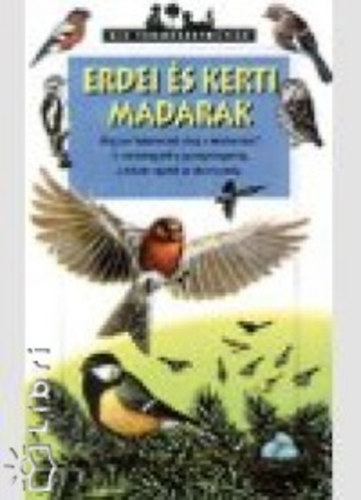 Tracqui, Valérie: Erdei és kerti madarak