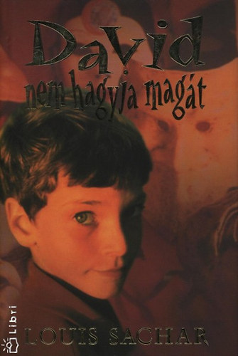 Louis Sachar: David nem hagyja magát