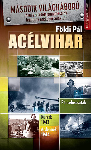 Földi Pál: Acélvihar