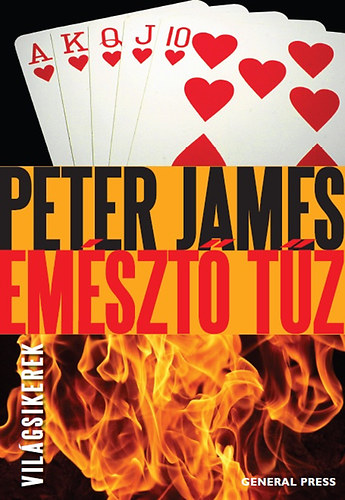 Peter James: Emésztő tűz