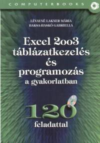 Lévayné Lakner Mária; Baksa-Haskó Gabriella: Excel 2003 táblázatkezelés és programozás a gyakorlatban