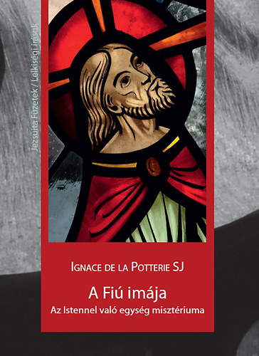 Ignace de la Potterie: A Fiú imája