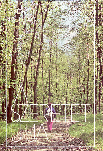 Anthony de Mello: A szeretet útja