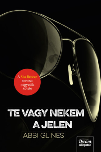 Abbi Glines: Te vagy nekem a jelen