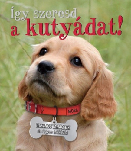 Honor Head: Így szeresd a kutyádat!