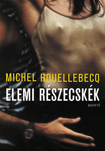 Michel Houellebecq: Elemi részecskék