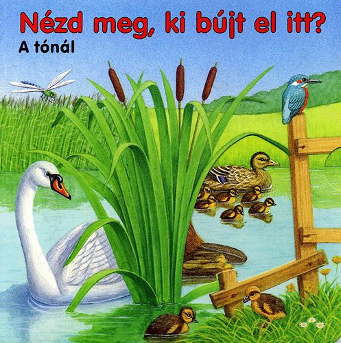 : Nézd meg, ki bújt el itt? - A tónál