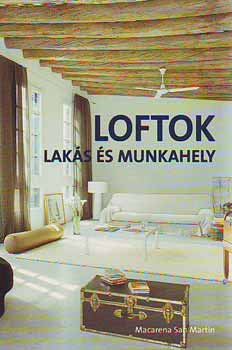 Macarena San Martín: Loftok - Lakás és munkahely