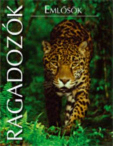 : Emlősök - Ragadozók