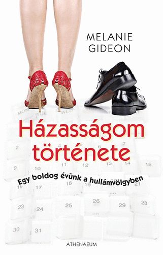 Melanie Gideon: Házasságom története - Egy boldog évünk a hullámvölgyben