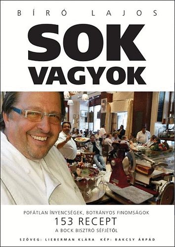 Bíró Lajos: Sok vagyok