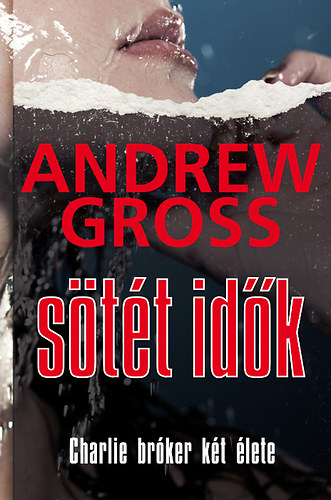 Andrew Gross: Sötét idők