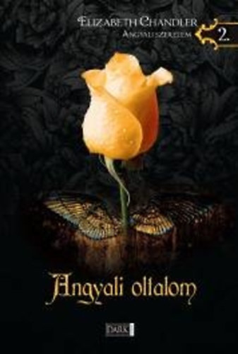 Elizabeth Chandler: Angyali oltalom - Angyali szerelem 2.
