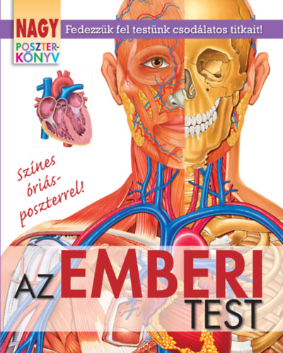 : Nagy poszterkönyv - Az emberi test