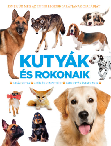 : Kutyák és rokonaik