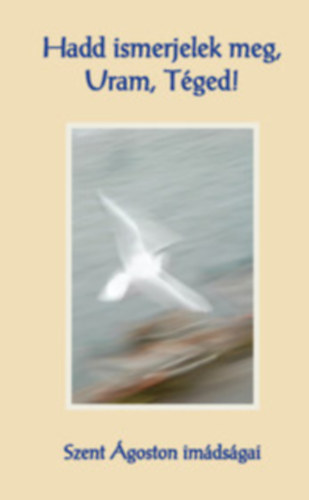 Szent Ágoston: Hadd ismerjelek meg, Uram, Téged!