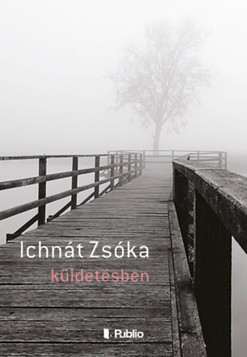 Ichnát Zsóka: Küldetésben