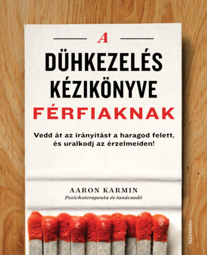 Aaron Karmin: A dühkezelés kézikönyve férfiaknak