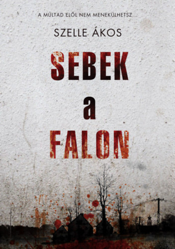 Szelle Ákos: Sebek a falon