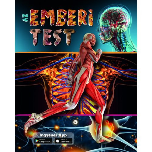 : Az emberi test