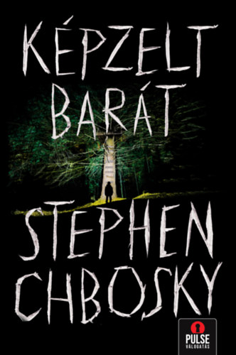 Stephen Chbosky: Képzelt barát