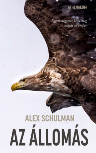 Alex Schulman: Az állomás